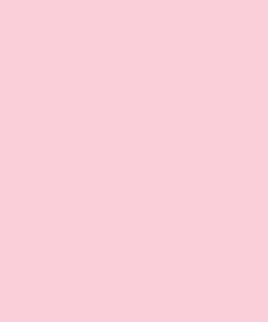 Siser P.S. FILM Flexfolie Light Pink A0031