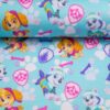 Jersey Paw Patrol Everest und Sky