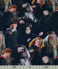 Jersey Harry Potter
