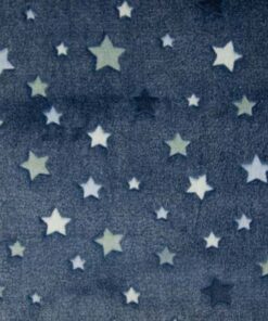 Wellness Fleece Navy star