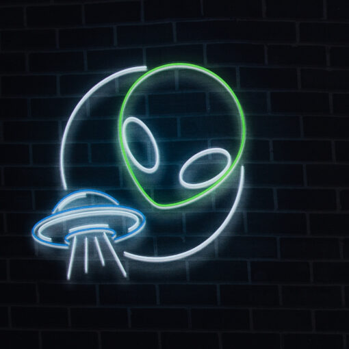 French Terry Panel Glow Alien by Lycklig