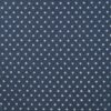 Chambray Sterne Denim