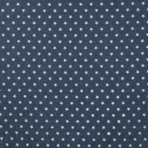 Chambray Sterne Denim