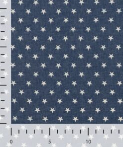 Chambray Sterne Denim