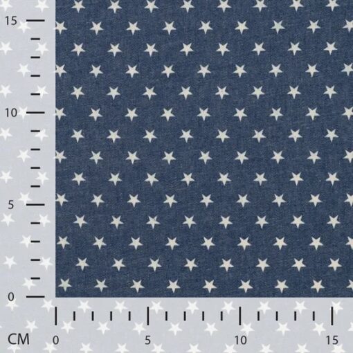 Chambray Sterne Denim