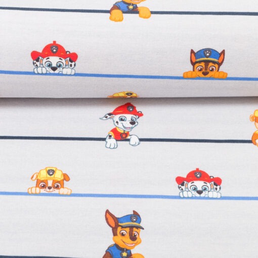 Jersey Paw Patrol Hündchen