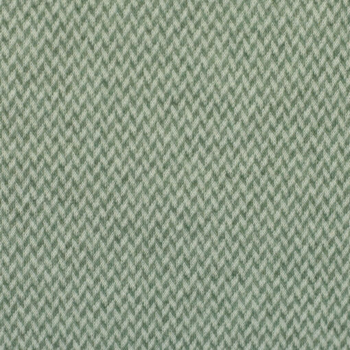 Jacquard Jersey Madita Mint