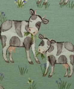 Jersey Farm Cow