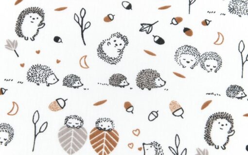 Baumwolle Familie Igel