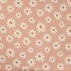 Jersey Daisy salmon
