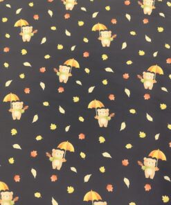 Softshell Bärchen im Regen