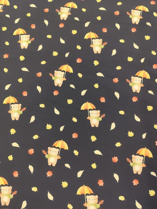 Softshell Bärchen im Regen