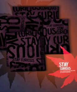 Stay Curious Allover by Thorsten Berger