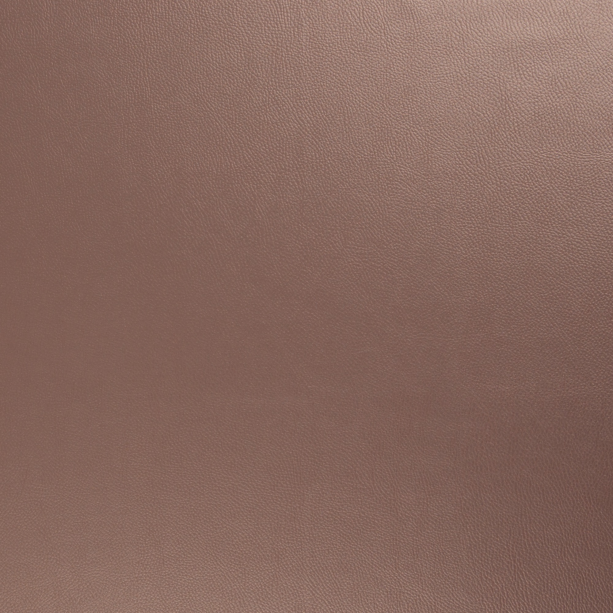 Kunstleder Rex-Metallic blush