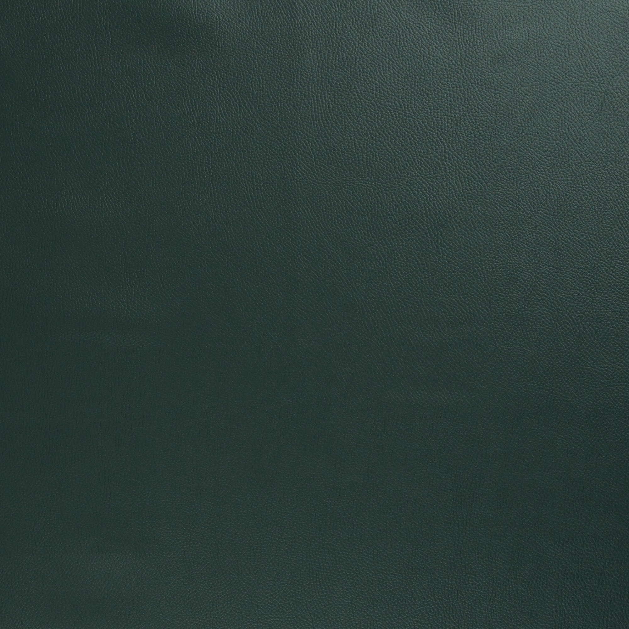 Kunstleder Rex-Metallic petrol