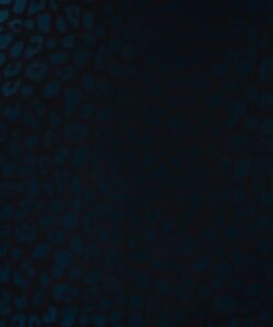 Raincoat Leo print blau