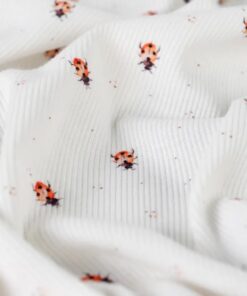 Rippjersey Marienkäfer auf weiss